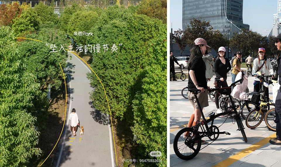 CEOL OFF in Qincheng Park by Hangzhou Guantang Interior Design Co Ltd 拷贝