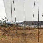 地平线展馆 & 百米线性展馆 / Eletres Studio