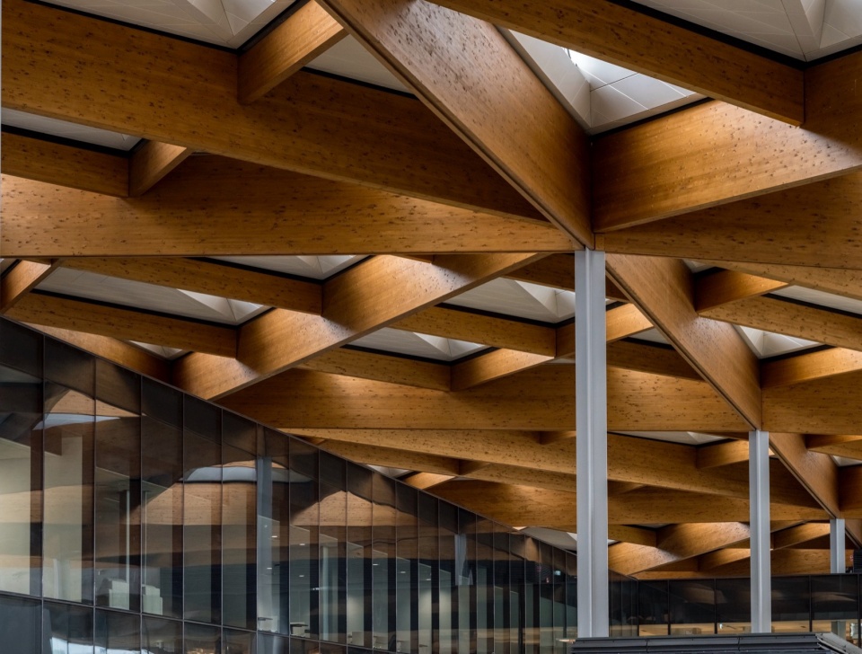 the new sydney fish market opens as a landmark destination