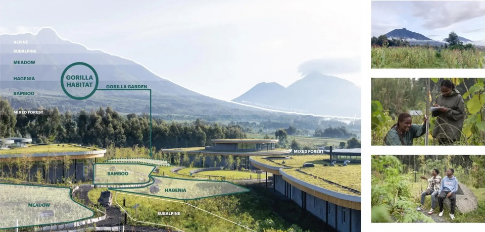 2025 asla general design award of honor the ellen degeneres campus for the dian fossey fund mass design group tenxten
