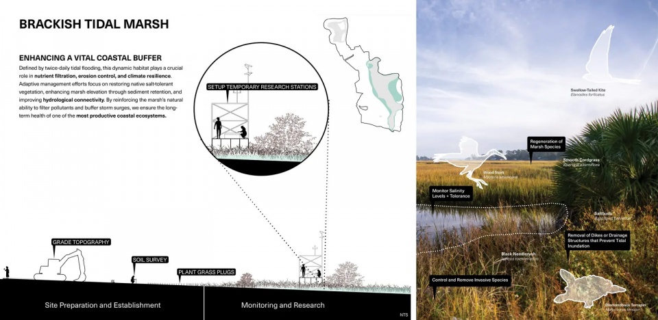 2025 asla ifla analysis and planning award of global impact testing ground adapting fairways to resilient barrier isle ecosystems design...