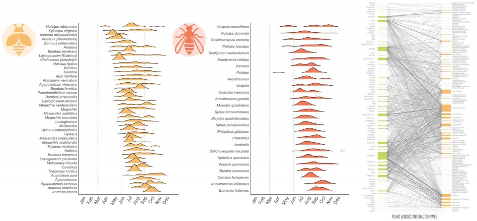 2025 asla analysis and planning award of honor somerville pollinator action plan offshoots inc