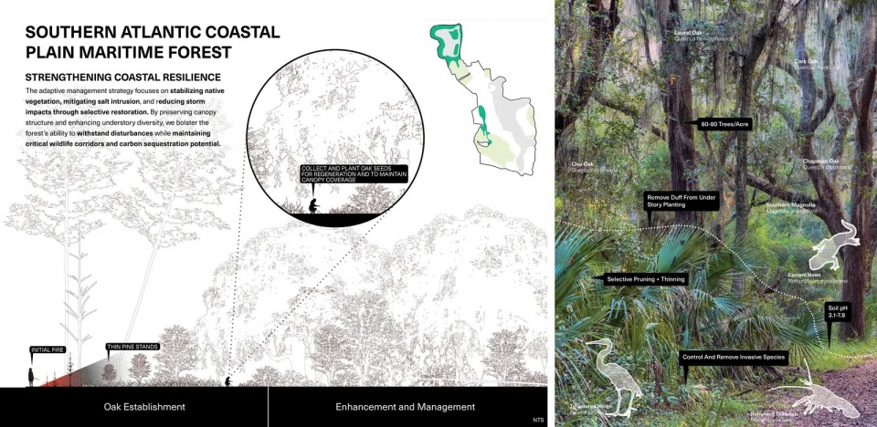 2025 asla ifla analysis and planning award of global impact testing ground adapting fairways to resilient barrier isle ecosystems design...