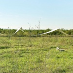 地平线展馆 & 百米线性展馆 / Eletres Studio