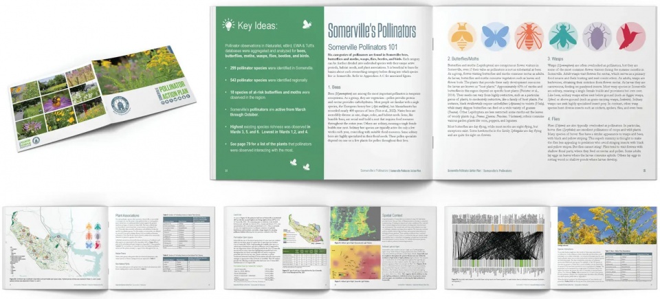 2025 asla analysis and planning award of honor somerville pollinator action plan offshoots inc