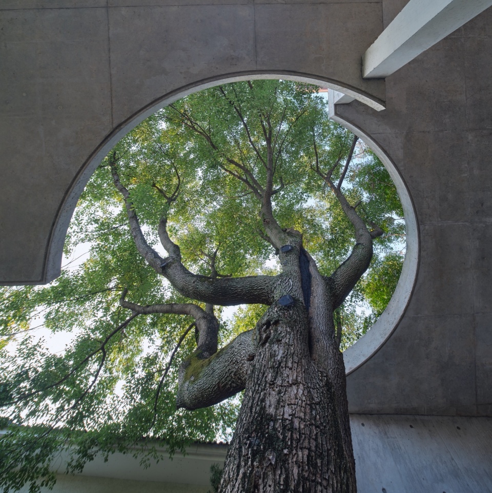 Chen Residence Changsha by Leeko Architects