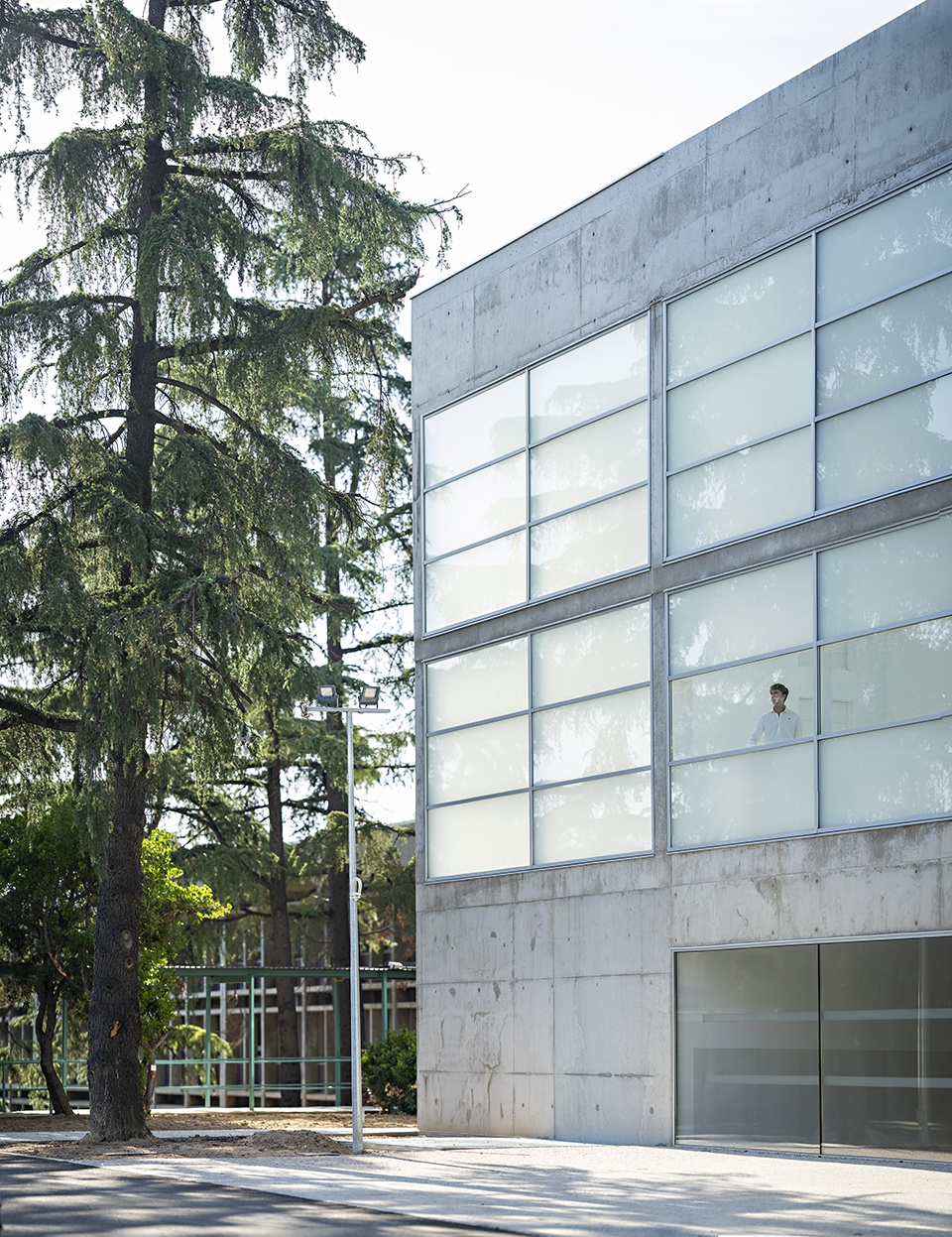 Library of the French Lycée IN MADRID