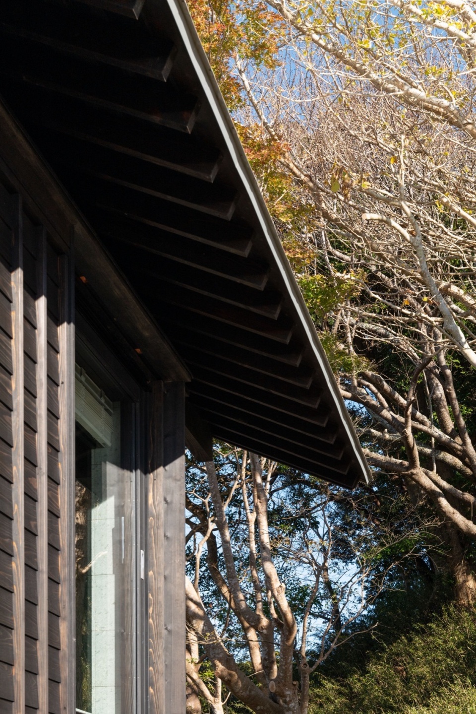 Villa Boso by office of Teramoto