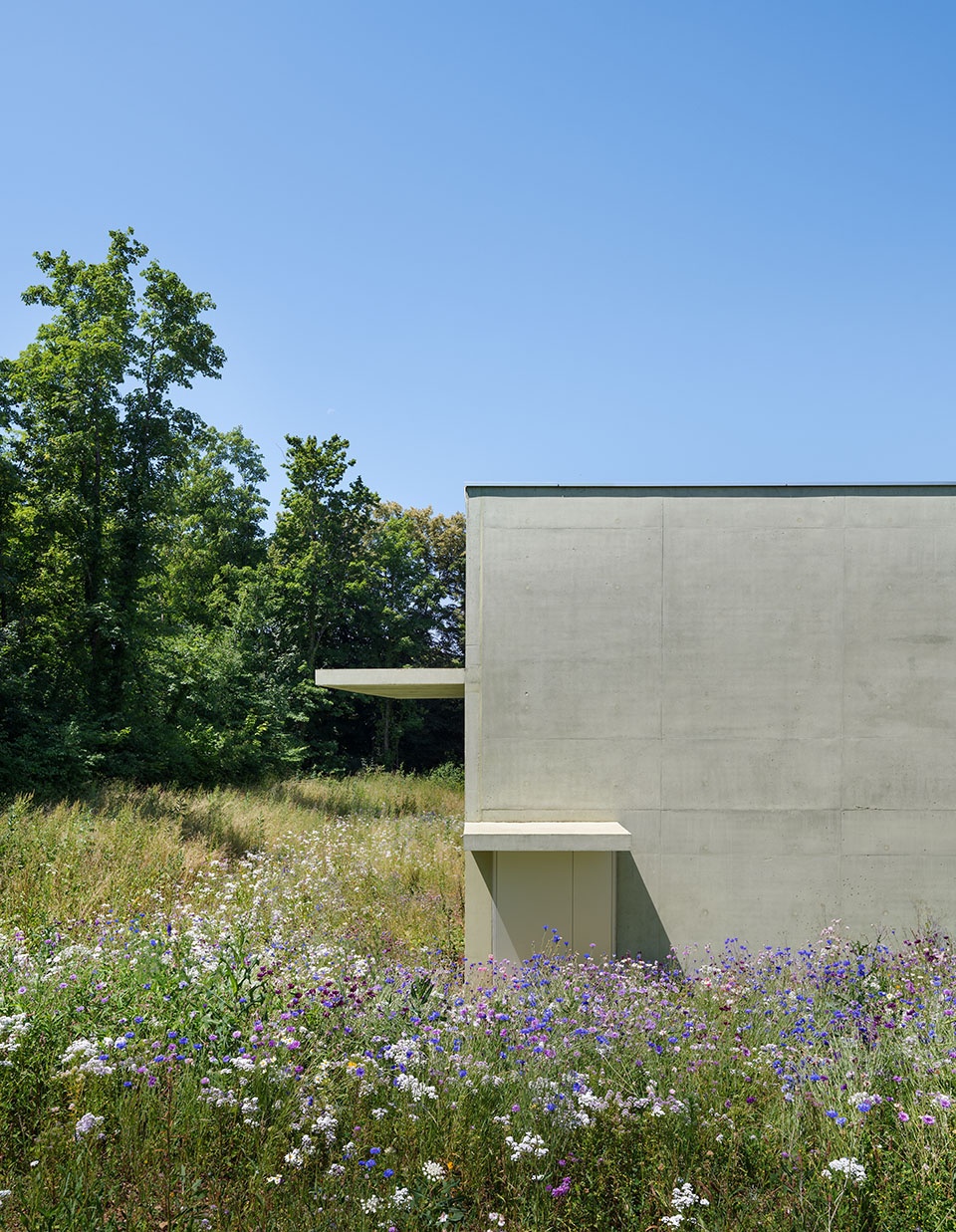 Franche Comte Advanced School of Engineering
