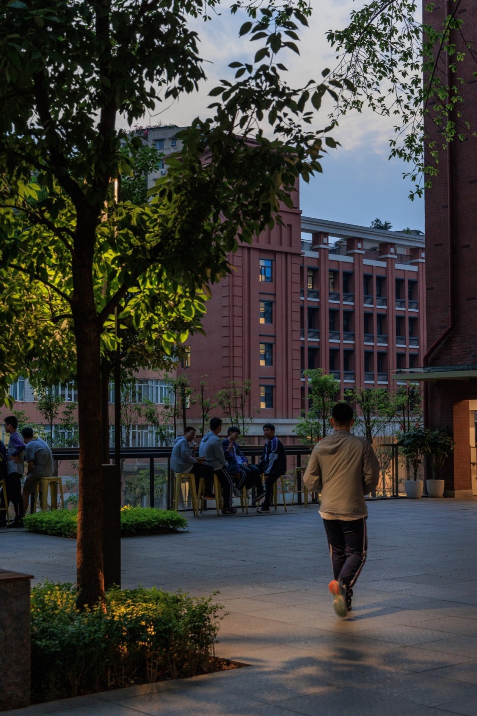 landscape transformation of zhangjiagarden campus bashu secondary school by aofan design