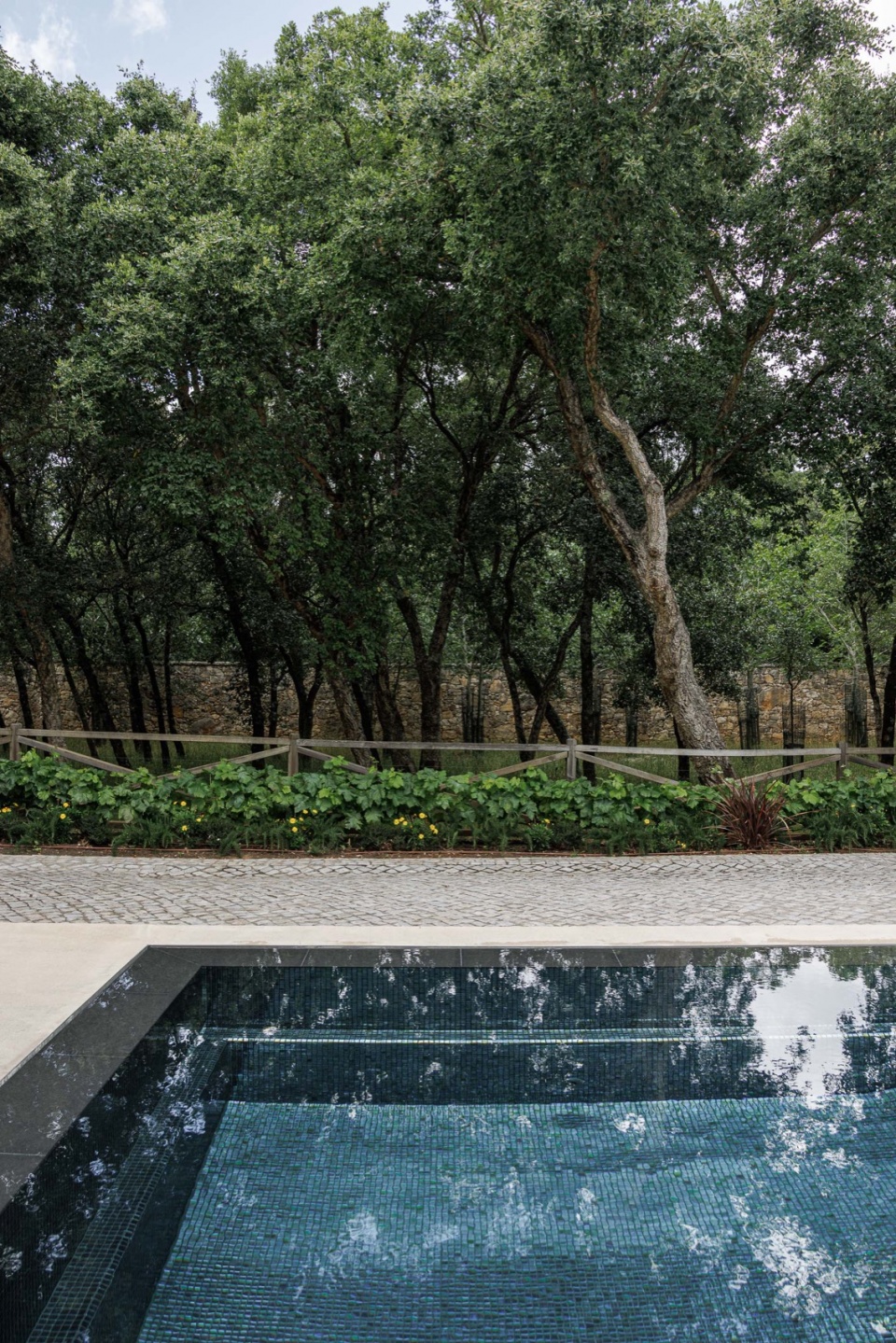 CC House by Quinta dos Carvalhos