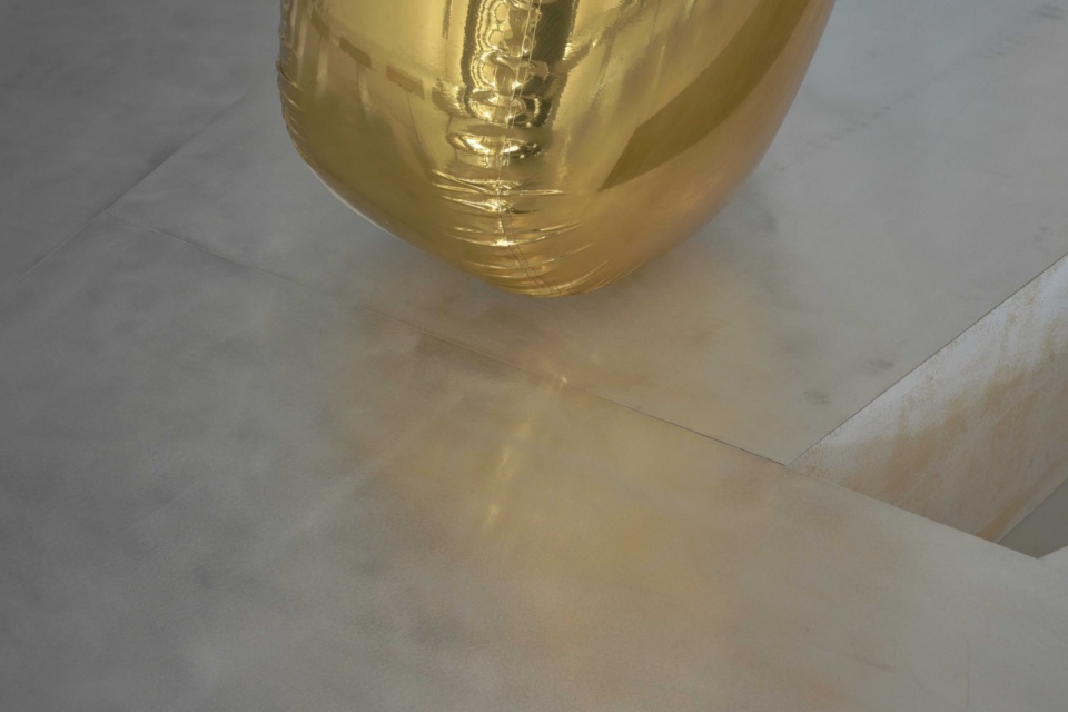 A Culture exhibition