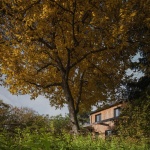 花园中的家庭住宅，捷克 / Mimosa Architects