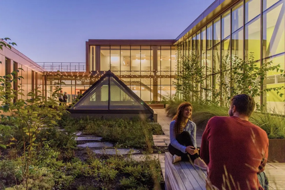 2025 asla general design award of honor re wilding experimentation and pedagogy at umass stimson