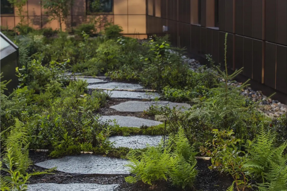 2025 asla general design award of honor re wilding experimentation and pedagogy at umass stimson