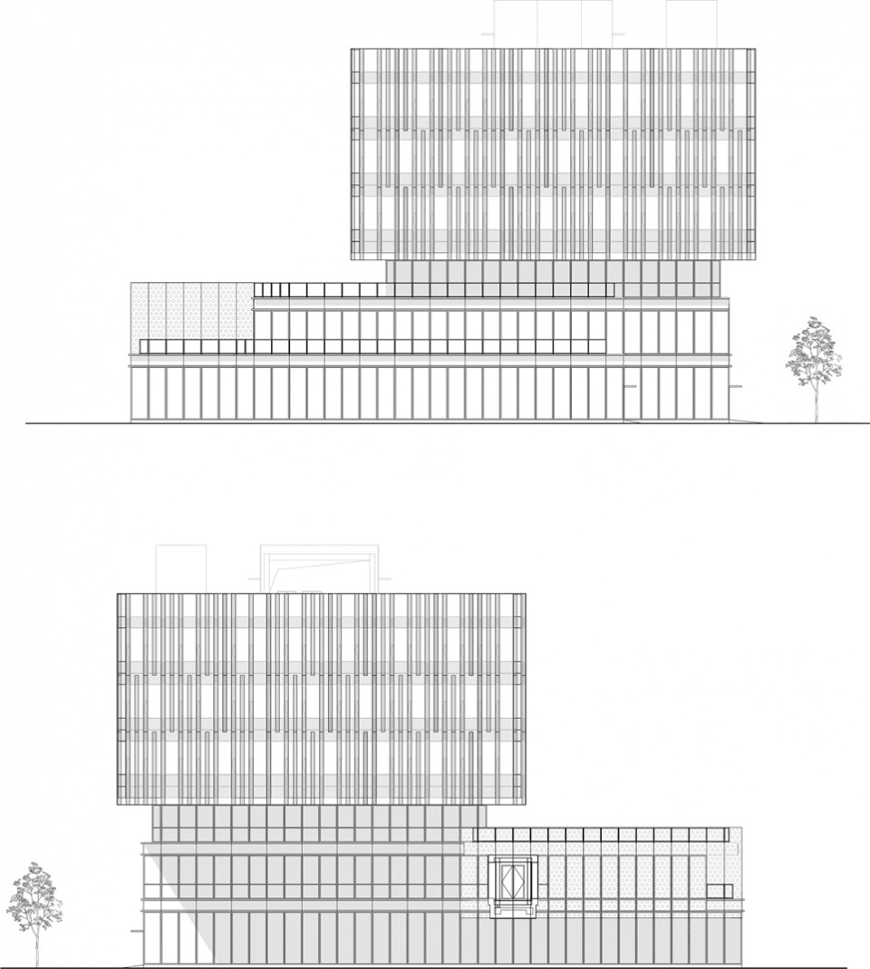 AILU Group Headquarters D