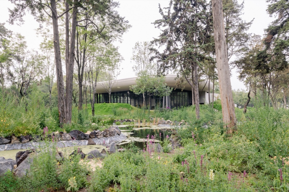 Scenic Garden by Michan Architecture