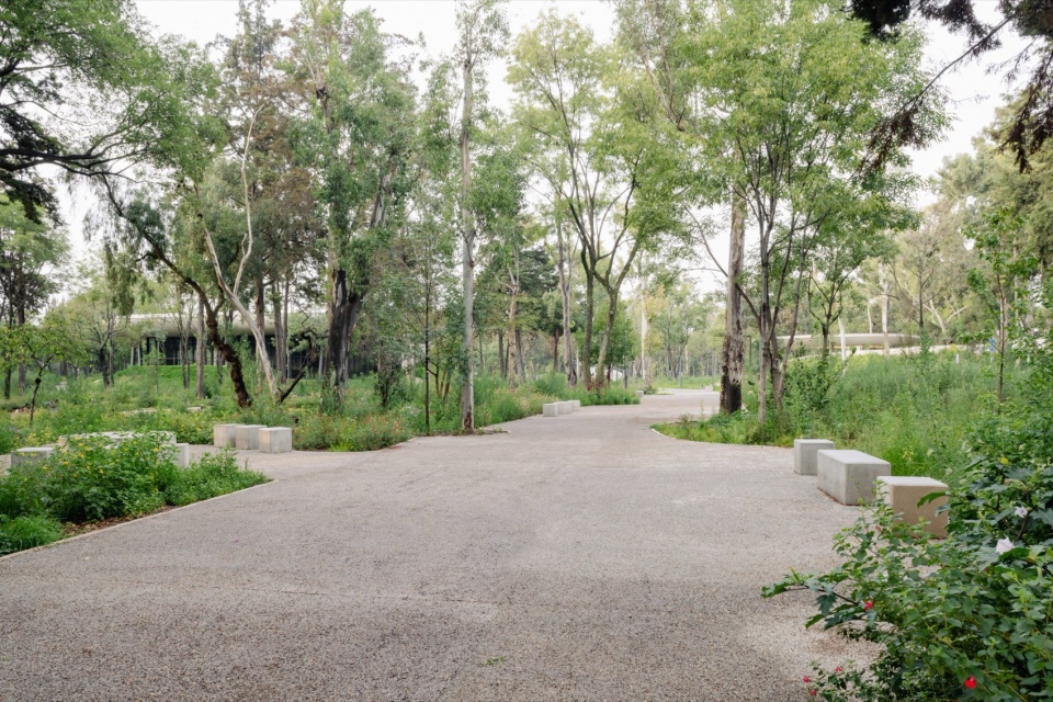 Scenic Garden by Michan Architecture