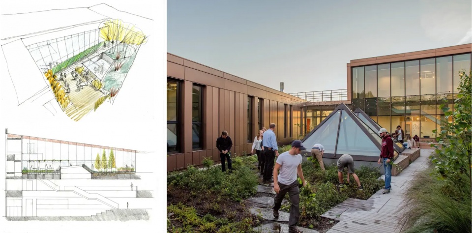 2025 asla general design award of honor re wilding experimentation and pedagogy at umass stimson