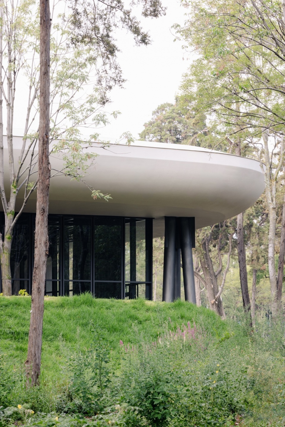 Scenic Garden by Michan Architecture