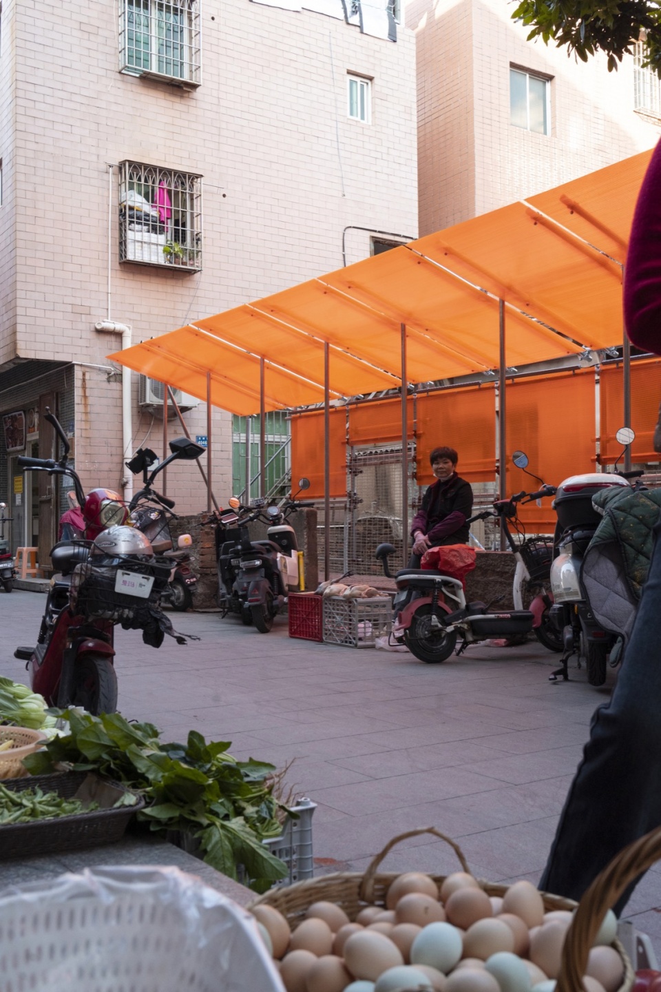 orange fence by ta awr