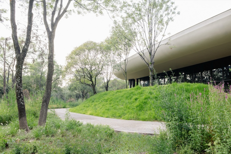 Scenic Garden by Michan Architecture