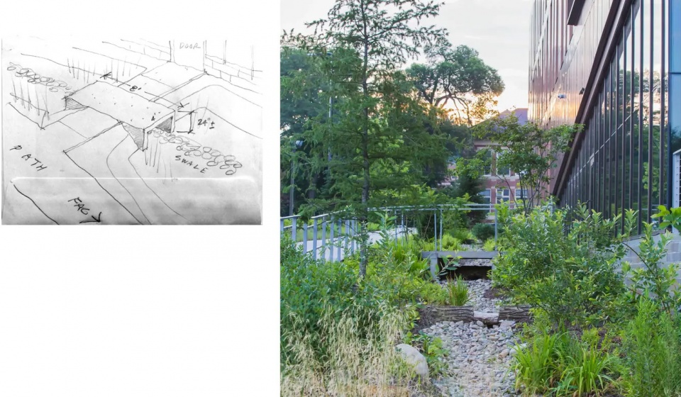2025 asla general design award of honor re wilding experimentation and pedagogy at umass stimson