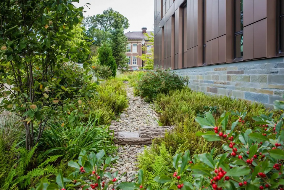 2025 asla general design award of honor re wilding experimentation and pedagogy at umass stimson