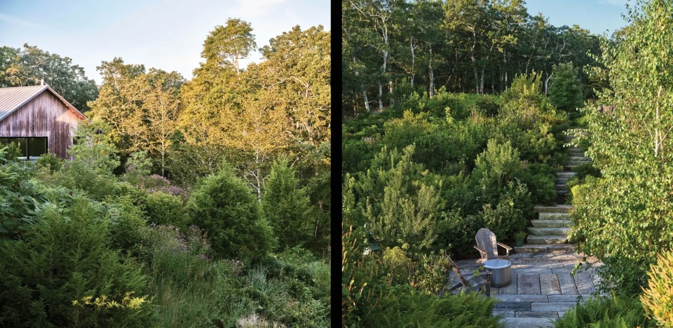 2025 asla residential design award of honor huckleberry perch matthew cunningham landscape design