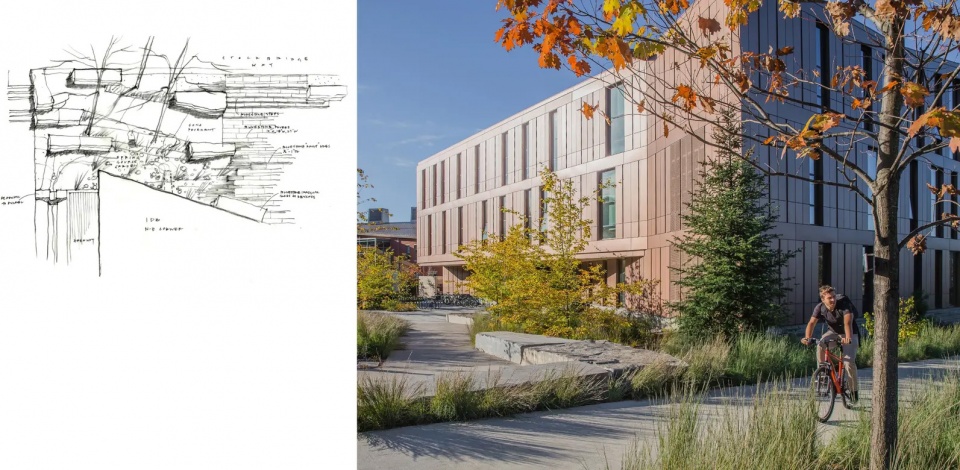 2025 asla general design award of honor re wilding experimentation and pedagogy at umass stimson