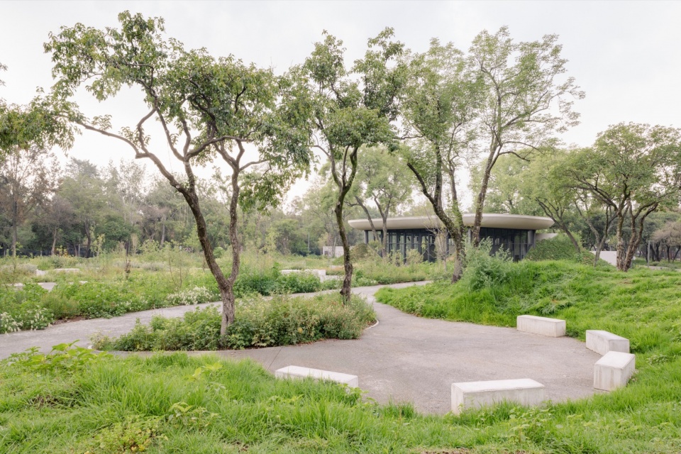 Scenic Garden by Michan Architecture