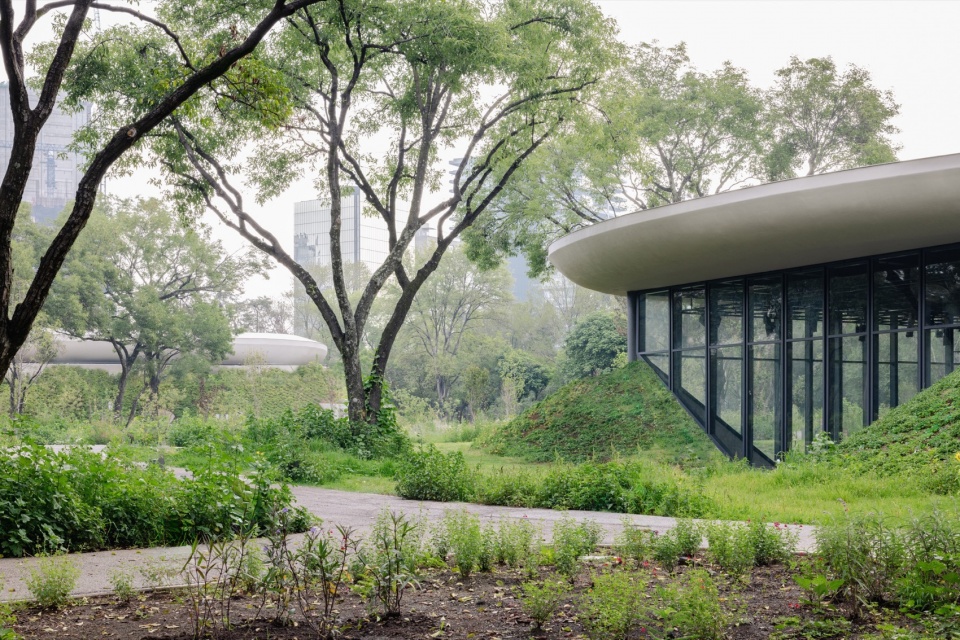 Scenic Garden by Michan Architecture
