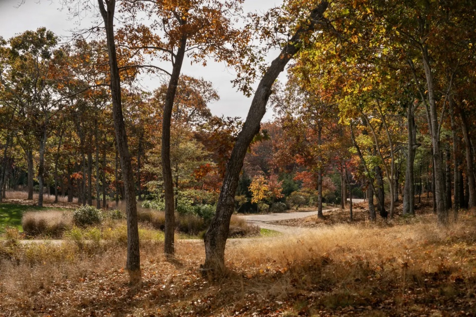 2025 asla residential design award of honor springy banks laguardia design group