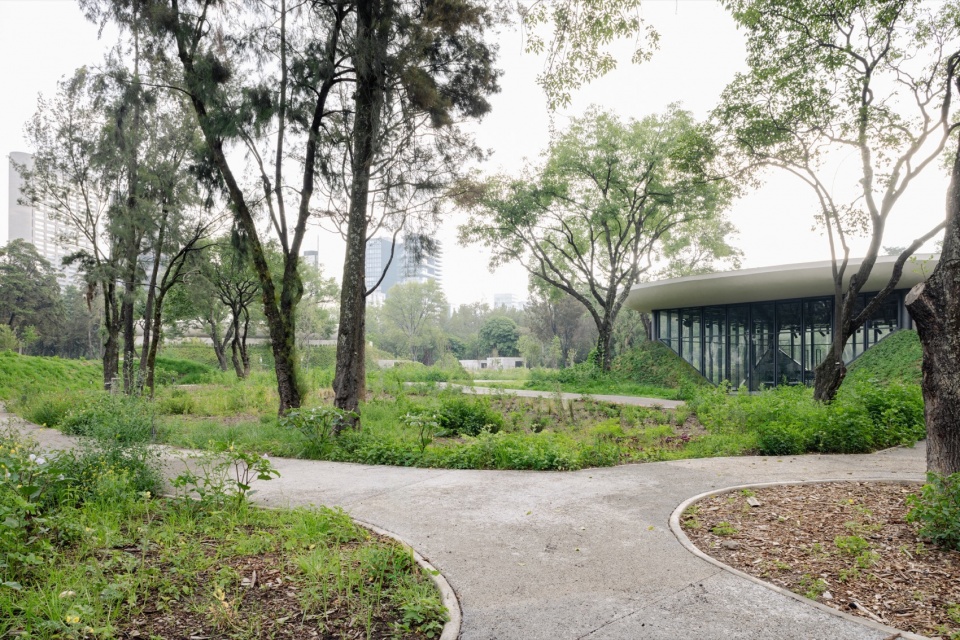 Scenic Garden by Michan Architecture