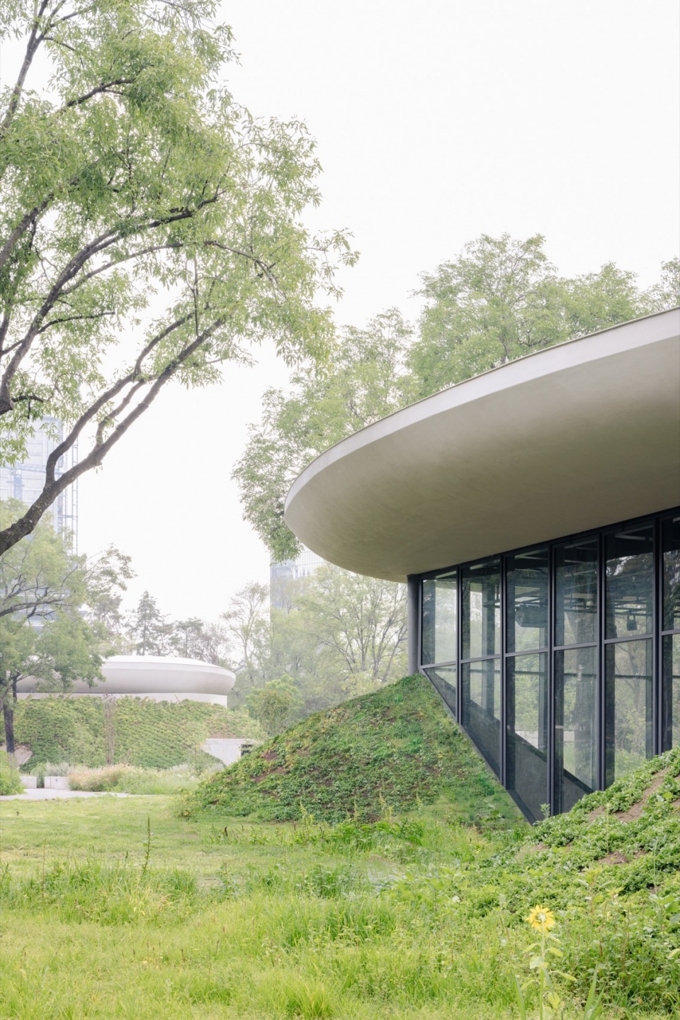 Scenic Garden by Michan Architecture