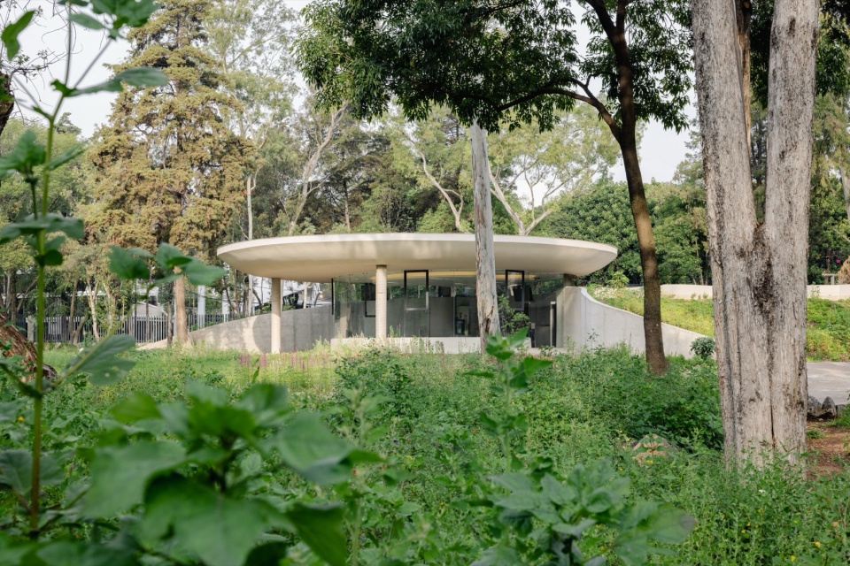 Scenic Garden by Michan Architecture