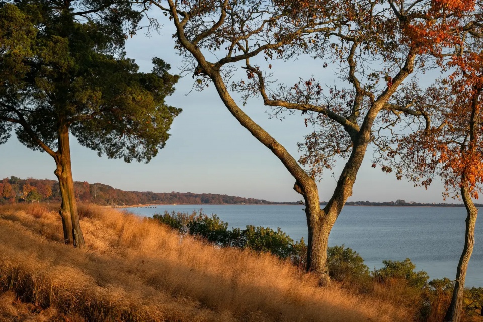 2025 asla residential design award of honor springy banks laguardia design group