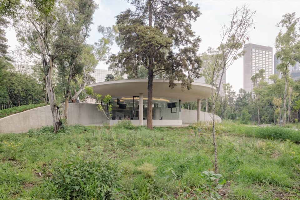 Scenic Garden by Michan Architecture