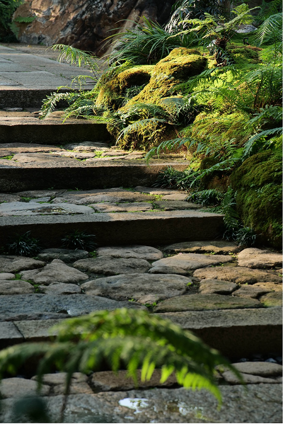 Song Yu Garden