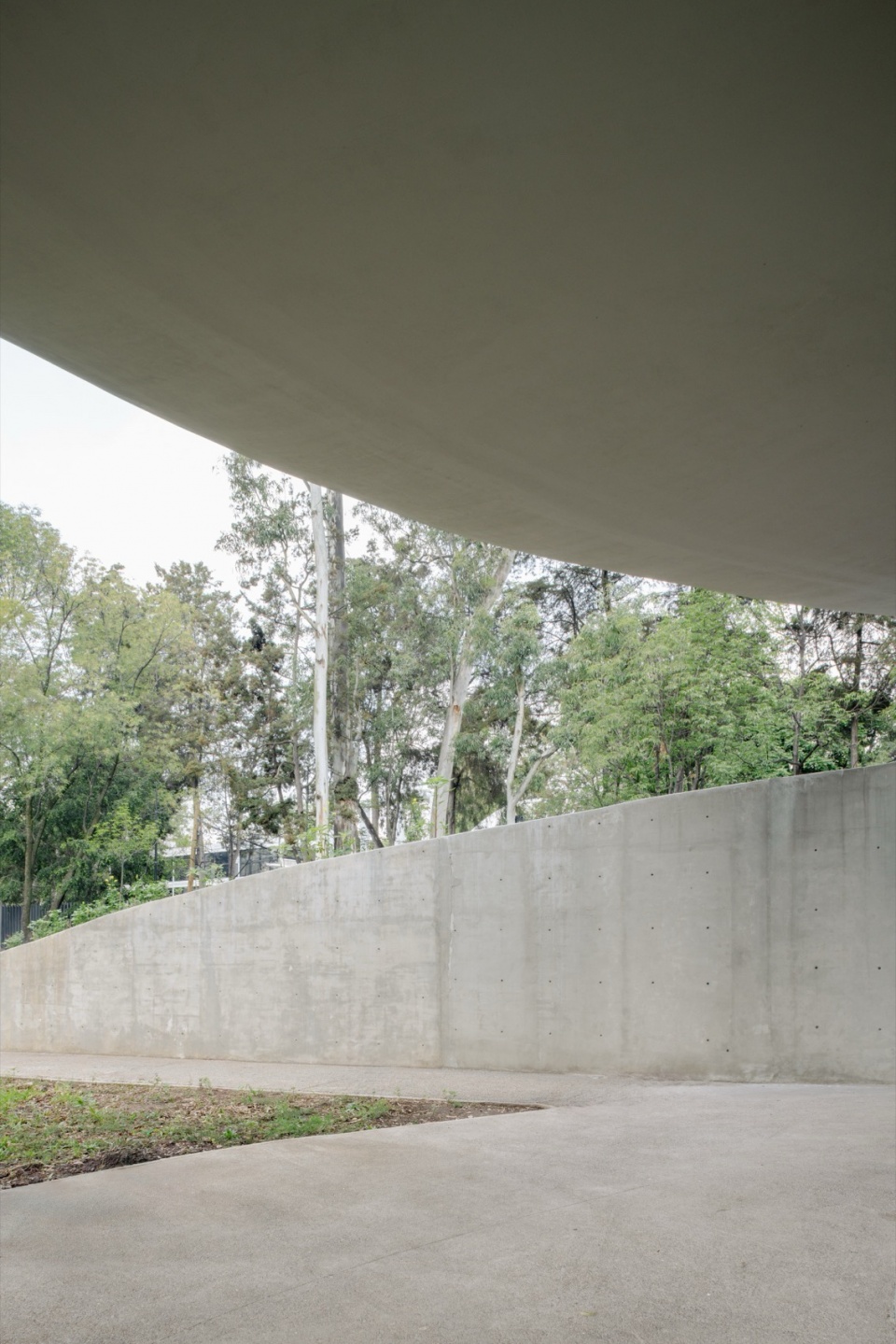 Scenic Garden by Michan Architecture