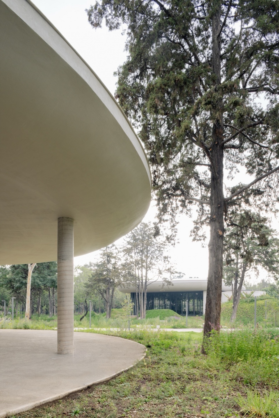 Scenic Garden by Michan Architecture