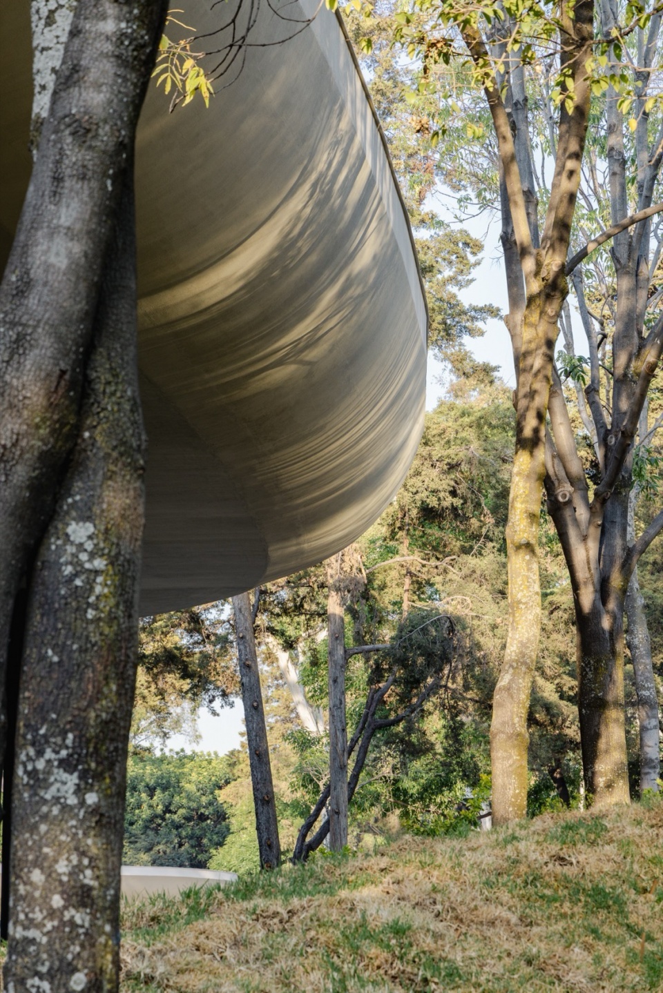 Scenic Garden by Michan Architecture
