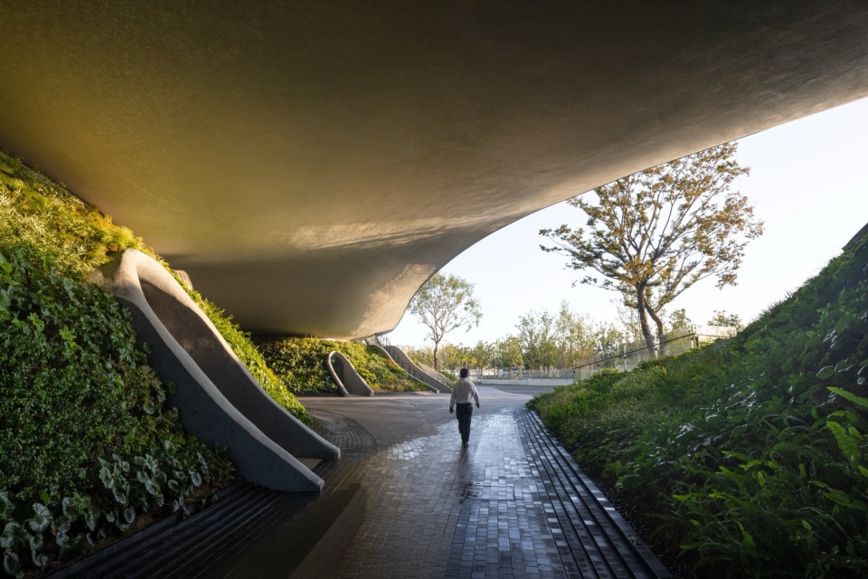 Wave Cube The Future Academy of Three Body Problem by SAO