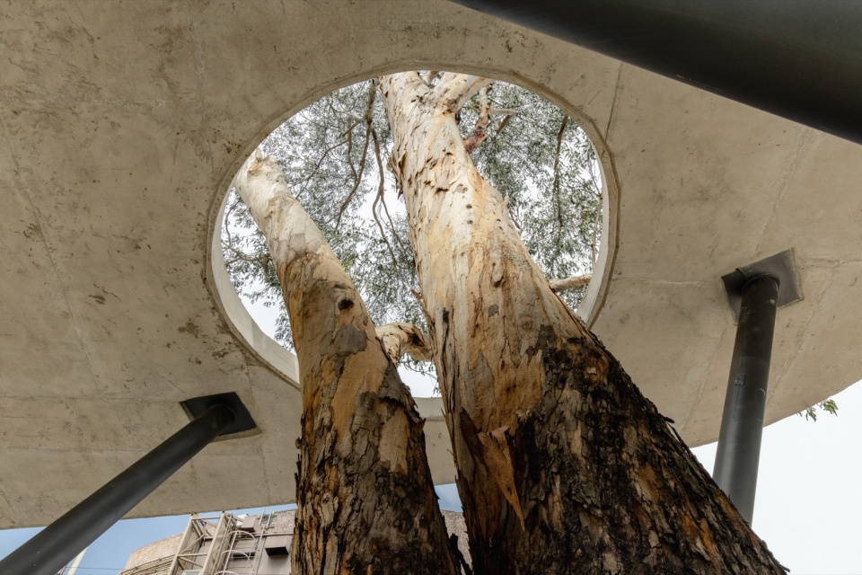 Scenic Garden by Michan Architecture