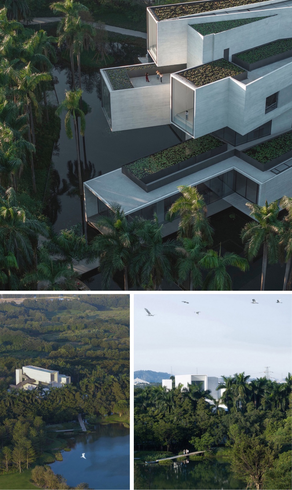 Shunde Yunlu Wetland Museum by Studio Link Arc 拷贝 2