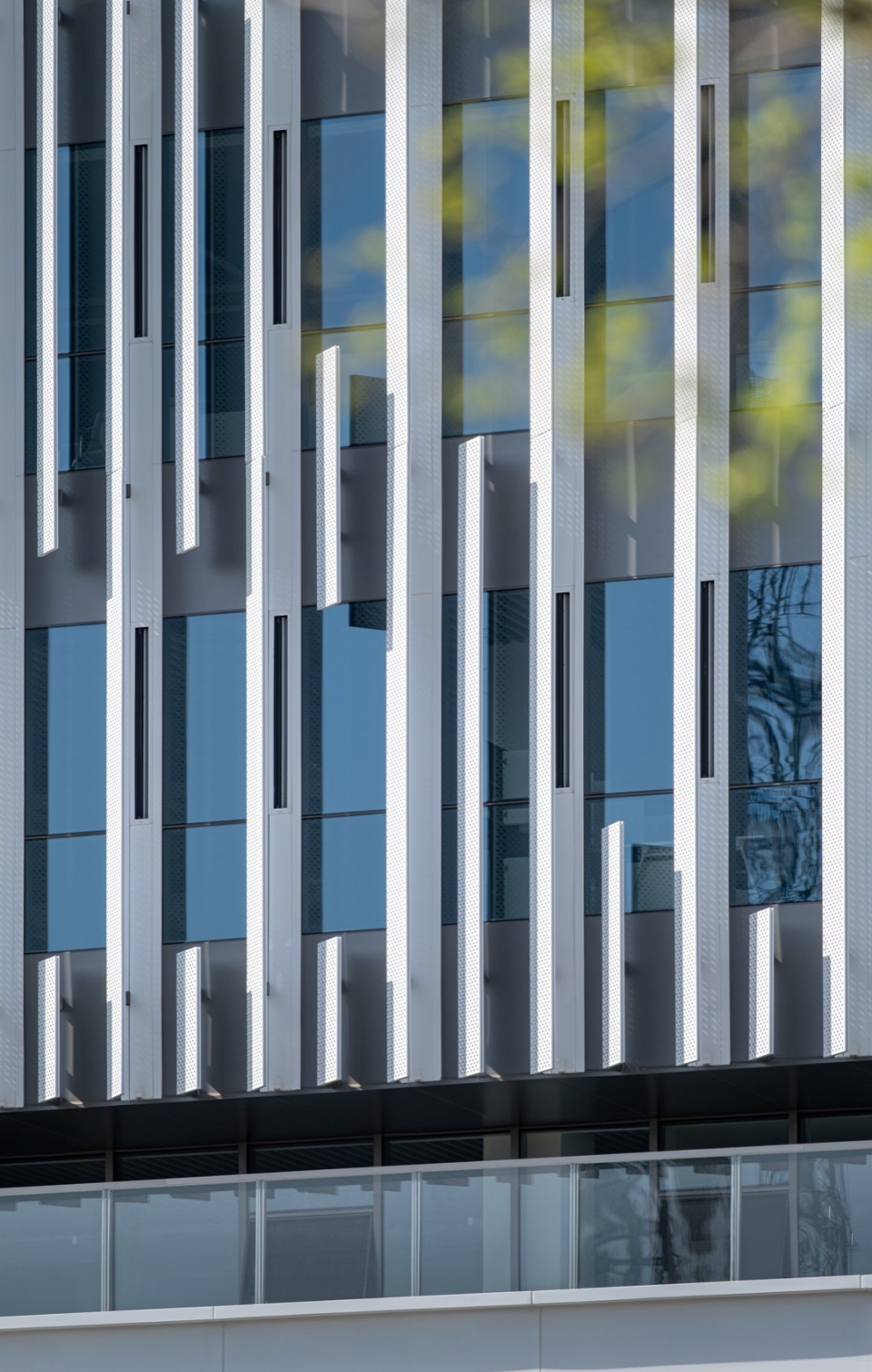 AILU Group Headquarters