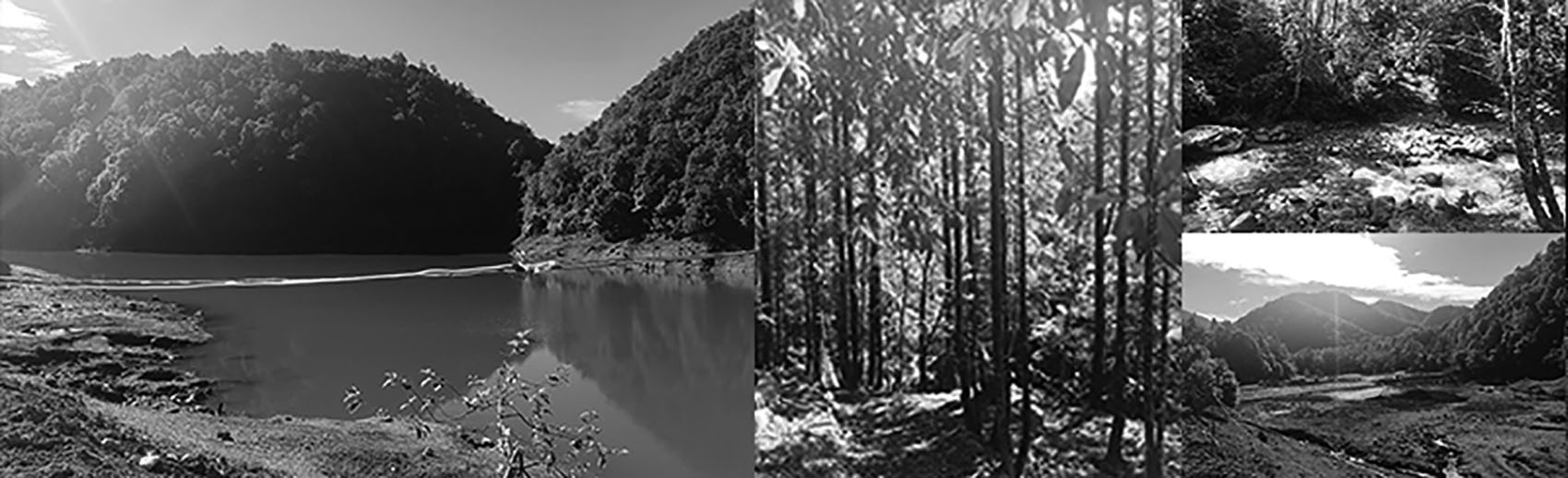Datang Shenyuegu