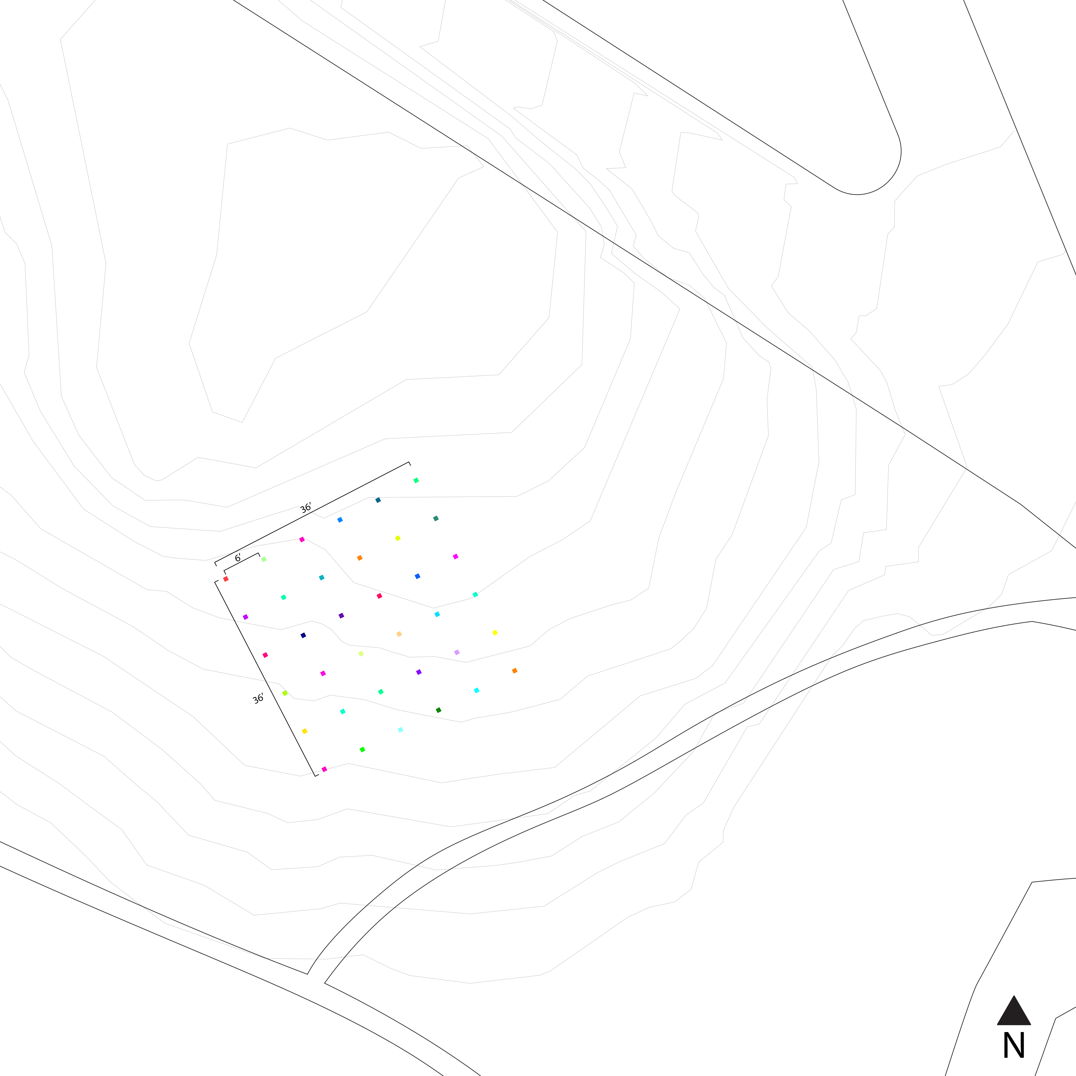 Rainbow Forest