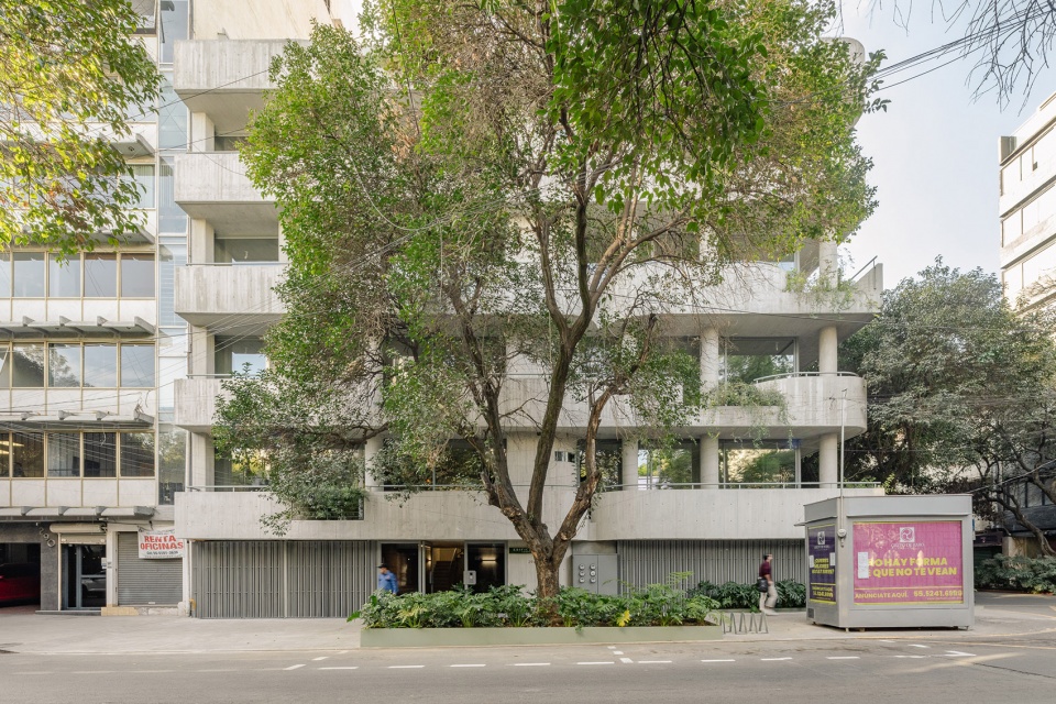 c294 apartments by michan architecture