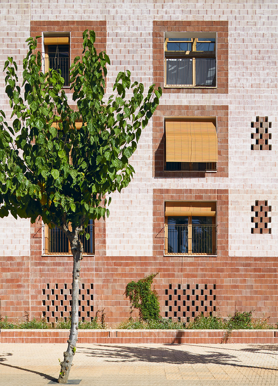 24 PUBLIC DWELLINGS